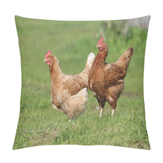 Personality  Brown Hen. Chicken Farm. Homemade Poultry. Rustic Look. Pillow Covers
