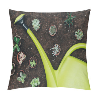 Personality  Top View Of Beautiful Green Potted Plants And Big Plastic Watering Can On Soil  Pillow Covers