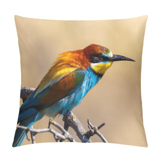 Personality  European Bee-eater (Merops Apiaster) On The Branch Pillow Covers