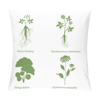 Personality  Silhouette Of Plants, Vector Illustration Isolated White Pillow Covers