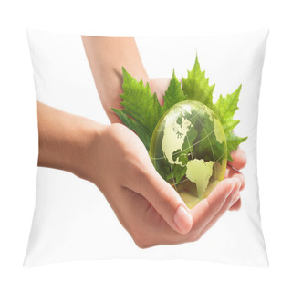 Personality  Environmental Concept With Glass Globe And Leaves On White Background - America Pillow Covers