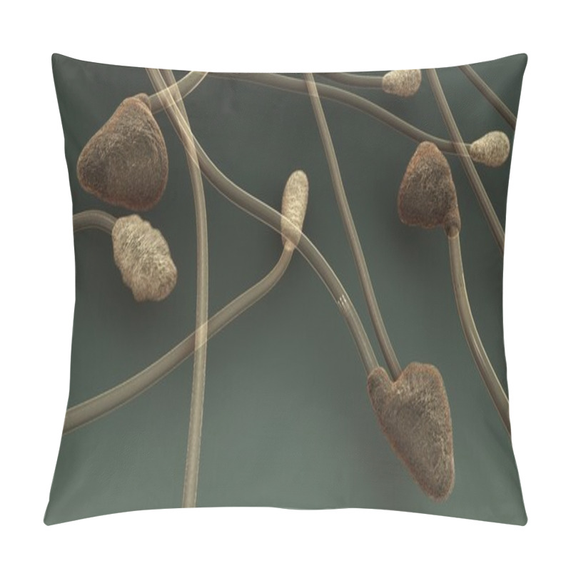 Personality  Colletotrichum, Plant Fungus Pillow Covers