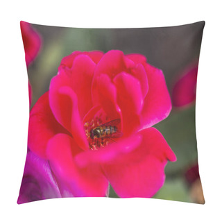 Personality  Bumble-Bee Flying, Sitting And Working Out A Flower Pillow Covers