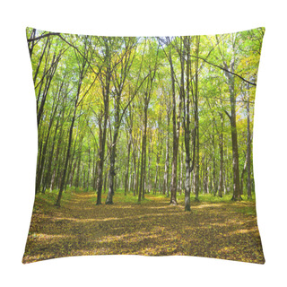 Personality  Autumn Forest Pillow Covers