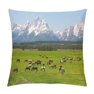 Personality  Grand Teton National Park Pillow Covers