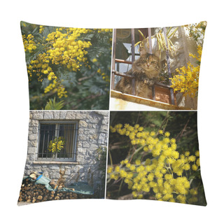 Personality  Mimosa On The French Riviera. Collage Pillow Covers