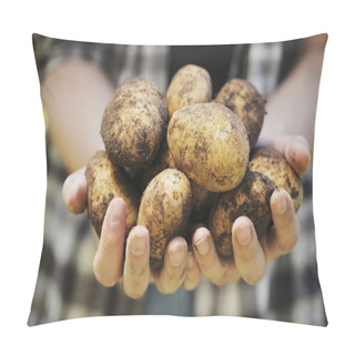 Personality  Potato Harvest Pillow Covers