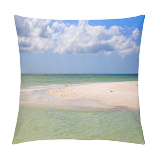 Personality  White Sand At Honeymoon Island State Park In Florida Pillow Covers