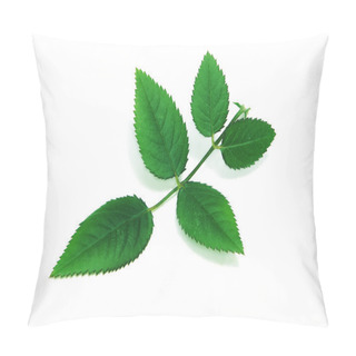 Personality  Roses Leaves Pillow Covers