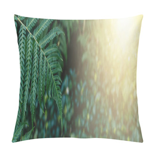 Personality  Lush Fern Foliage In Morning Sunlight, Vibrant Green Fern Fronds Bathed In The Soft Golden Light Of The Morning Sun Pillow Covers