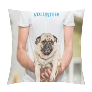 Personality  Cropped Image Of Volunteer Of Animals Shelter Holding Pug Dog Pillow Covers