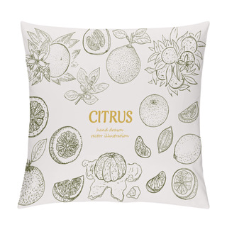 Personality  Hand Drawn Citrus Botanical Set Pillow Covers