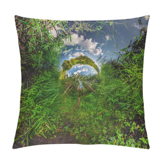 Personality  Green Tiny Planet Transformation Of Spherical Panorama 360 Degrees. Spherical Abstract Aerial View On Forest. Curvature Of Space. Pillow Covers