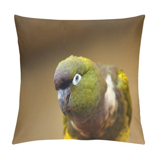 Personality  Burrowing Parrot (Cyanoliseus Patagonus) Or Burrowing Parakeet Also Known As The Patagonian Conure, Portait. Pillow Covers