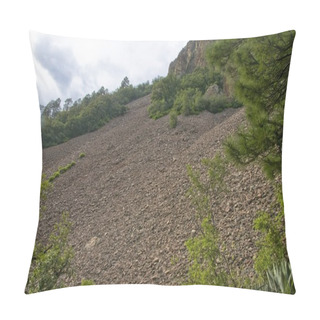 Personality  Rock Slide, Chiricahua Mountains, Arizona, USA Pillow Covers