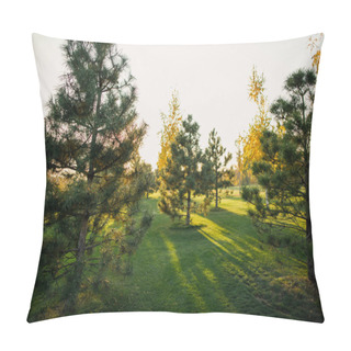 Personality  View Of Sun Lighted Pine Trees On Green Lawn Pillow Covers