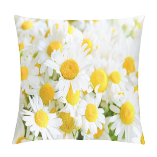 Personality  Background From Meadow Chamomile Blossoms Pillow Covers