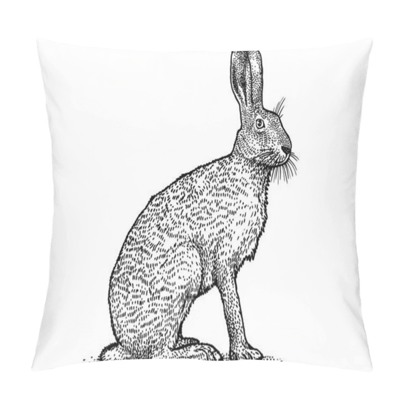 Personality  Rabbit illustration, brown hare drawing, engraving, line art pillow covers