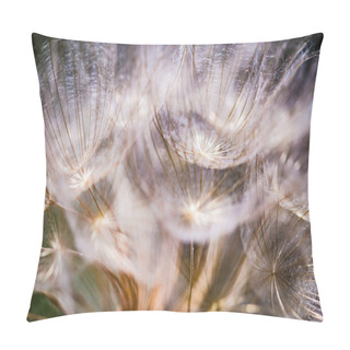 Personality  Colorful Abstract Nature Background - Dandelion Flower Fluffy Seeds Extreme Closeup, Soft Focus, Dark Background. Pillow Covers