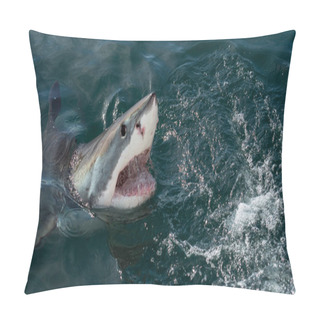 Personality  Great White Shark With Open Mouth (Carcharodon Carcharias) In Ocean Water An Attack. Hunting Of A Great White Shark (Carcharodon Carcharias). South Africa. Pillow Covers
