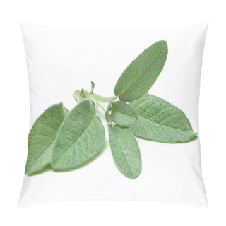 Personality  Twig Of Sage Pillow Covers