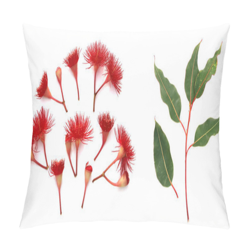 Personality  Red Flowering Eucalyptus On White Top View Pillow Covers