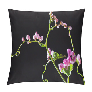 Personality  Mexican Creeper Flower Pillow Covers
