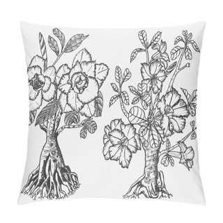 Personality  Home Adenium Plants, Flowering Plants From Africa And The Arabian Peninsula. Exotic And Tropical Elements. Engraved Hand Drawn In Old Sketch And Vintage Doodle Style. Pillow Covers