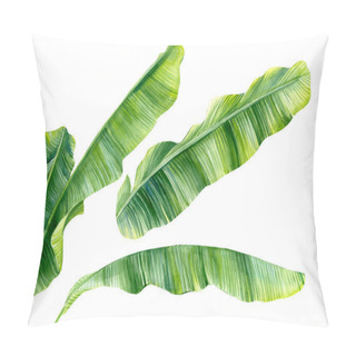 Personality  Set Of Green Banana Palm Leaves On A White Background. Watercolor Hand Painted, Botanical Illustration Pillow Covers