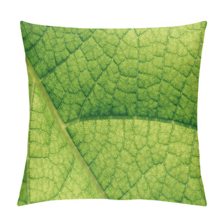 Personality  Macro Texture Of Natural Green Leaf  Pillow Covers