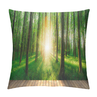 Personality  Spring Forest Trees. Nature Green Wood Sunlight Backgrounds On Table Wood Backgrounds Pillow Covers