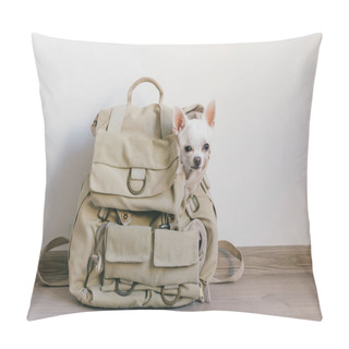Personality  Close Up View Of Little Chihuahua Puppy In Travelling Backpack Pillow Covers