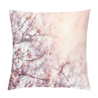 Personality  Blooming Tree With Pink Flowers At Morning Sunshine Pillow Covers