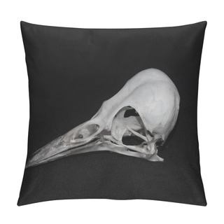 Personality  A Skull Of The Picinae Bird Pillow Covers