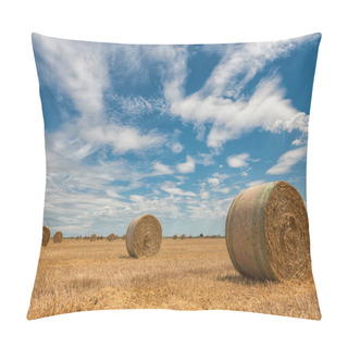 Personality  Harvested Wheat Fields In The Italian Summer Time Pillow Covers