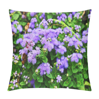 Personality  Ageratum Conyzoides (billygoat-weed, Goatweed, Whiteweed, Mentrasto) Plant Pillow Covers
