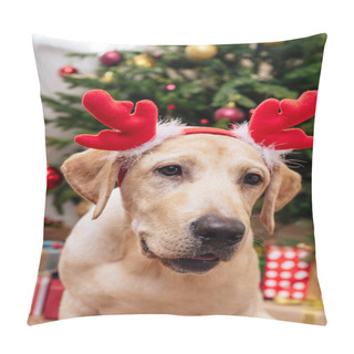 Personality  Labrador With Christmas Reindeer Antlers Pillow Covers