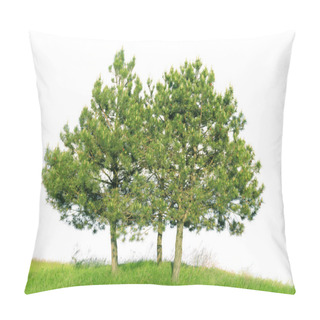 Personality  Scotch Pine (Pinus Sylvestris) Pillow Covers