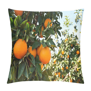 Personality  Orange Tree Pillow Covers