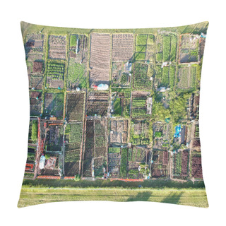 Personality  Neighbourhood  Urban Garden, With Hands Grown Green Vegetables Agriculture In The City By Citizens Near Their Buildings. Pillow Covers