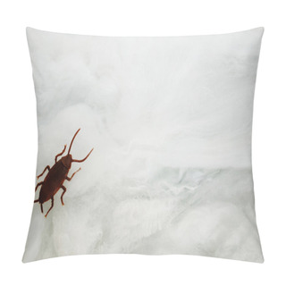 Personality  Toy Roach Crawling On A Spider Web With Copy Space Pillow Covers