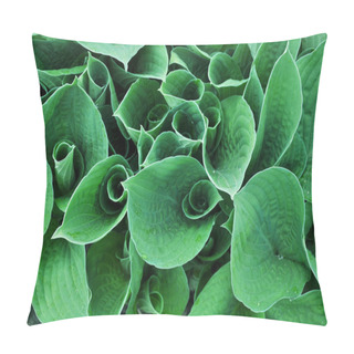 Personality  Texture Of  Swirling Leaves Pillow Covers