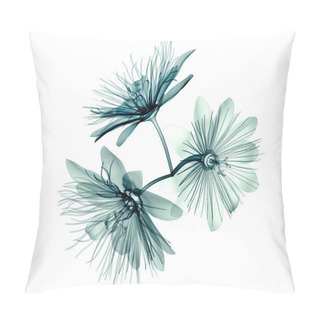 Personality  X-ray Image Flower Isolated  , Passion Flower Pillow Covers