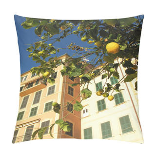 Personality  Lemon Tree Against Old House. Winter In Camogli, Italy Pillow Covers