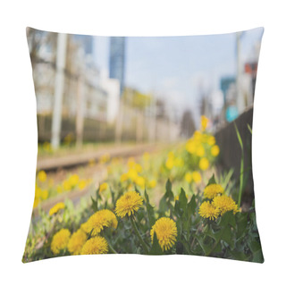 Personality  Close Up View Of Dandelions On Urban Street Pillow Covers