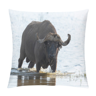 Personality  Wild Buffalo Is Walking In Water Pillow Covers