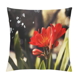 Personality  Flower Bouquet Of Lily Clivia Pillow Covers