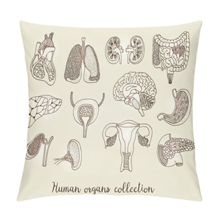 Personality  Hand Drawn Set Of Human Internal Organs, Vector Anatomy Collection Isolated On Beige Background Pillow Covers