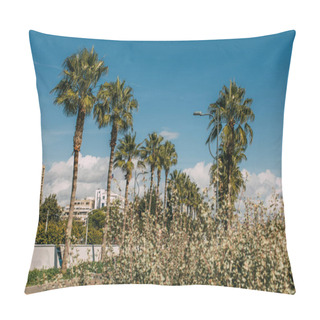 Personality  Selective Focus Of Green Palm Trees Against Blue Sky  Pillow Covers