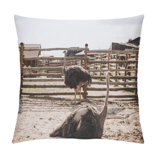 Personality  Close Up View Of Two Ostriches In Corral At Zoo Pillow Covers